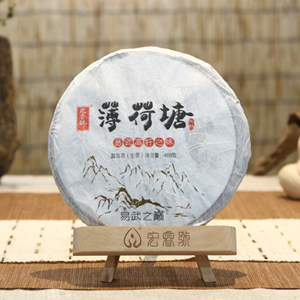 2016薄荷塘（头名金奖）