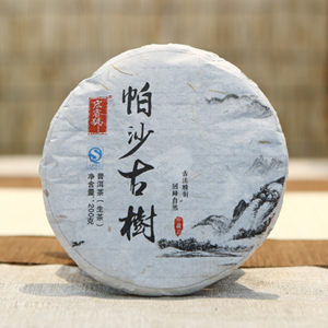 2014帕沙小饼