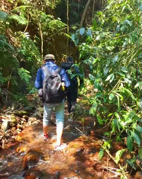 薄荷塘 跋山涉水只为你