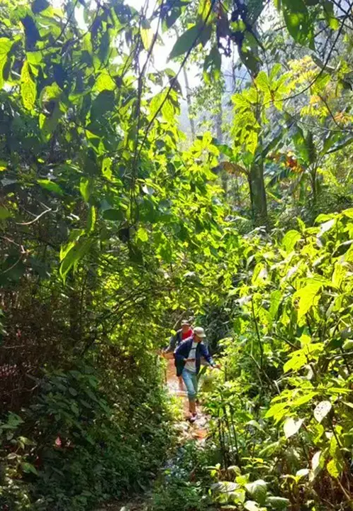 薄荷塘 跋山涉水只为你