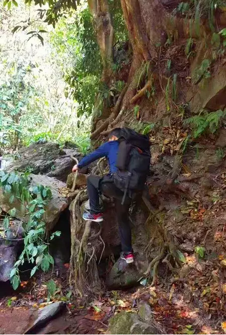 薄荷塘 跋山涉水只为你