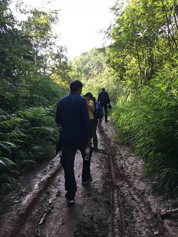 一场亲近大地的行走