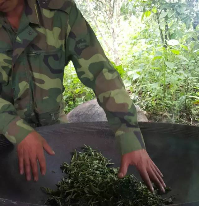 一场亲近大地的行走