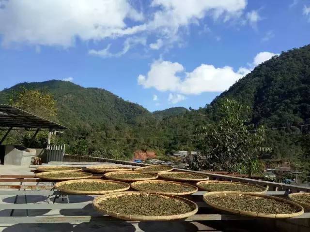 一场亲近大地的行走