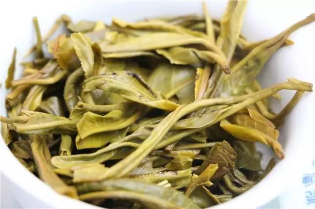 茶王树 品味原始森林里的清淳