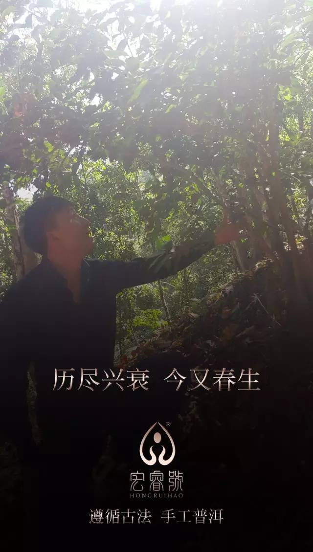 2017曼松