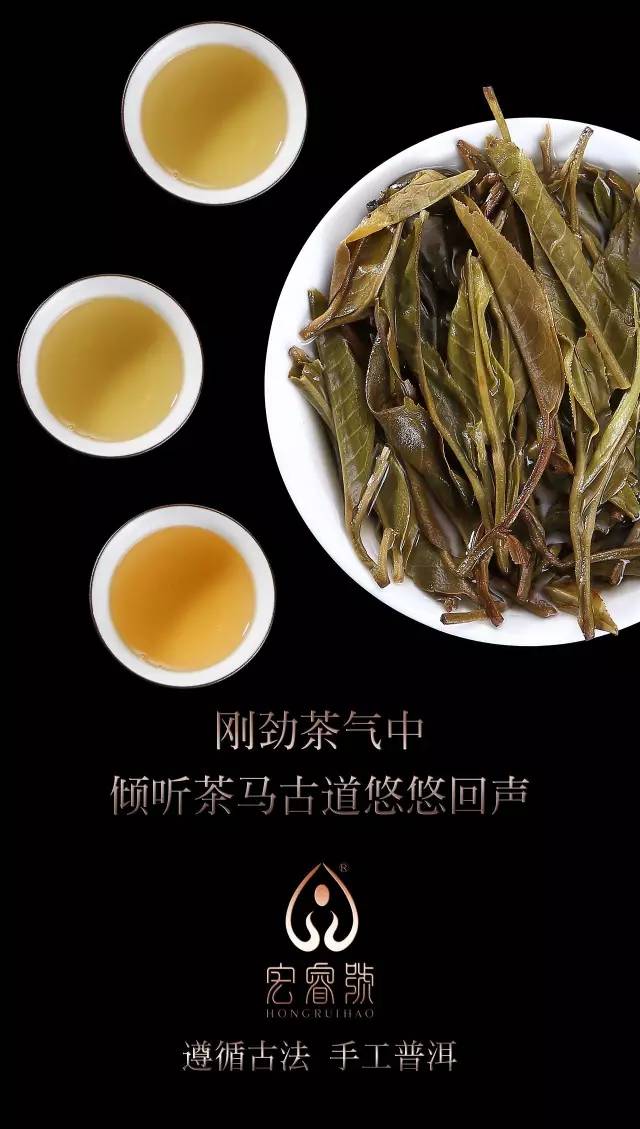 2017茶王树