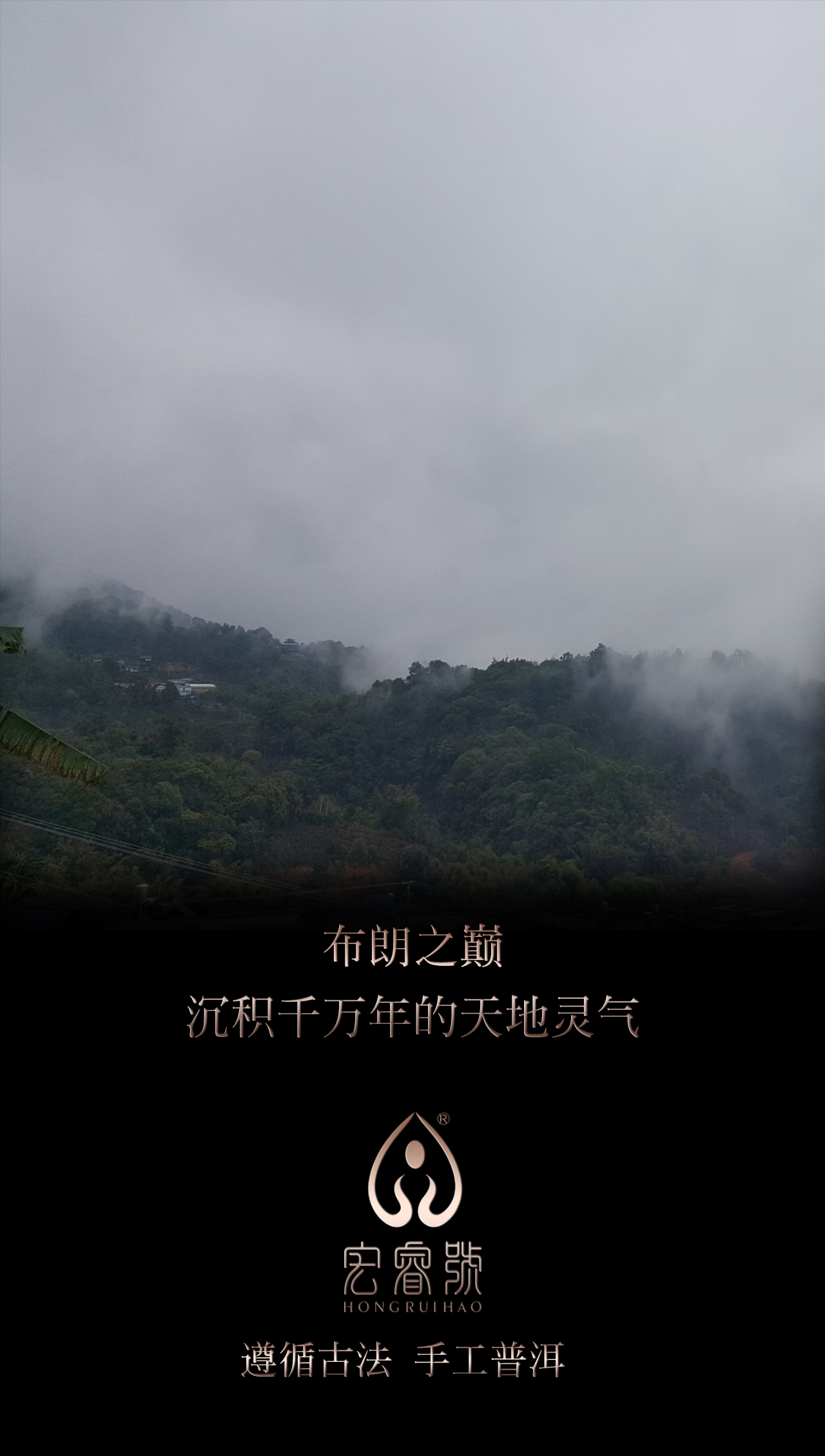 2017年班盆（春）