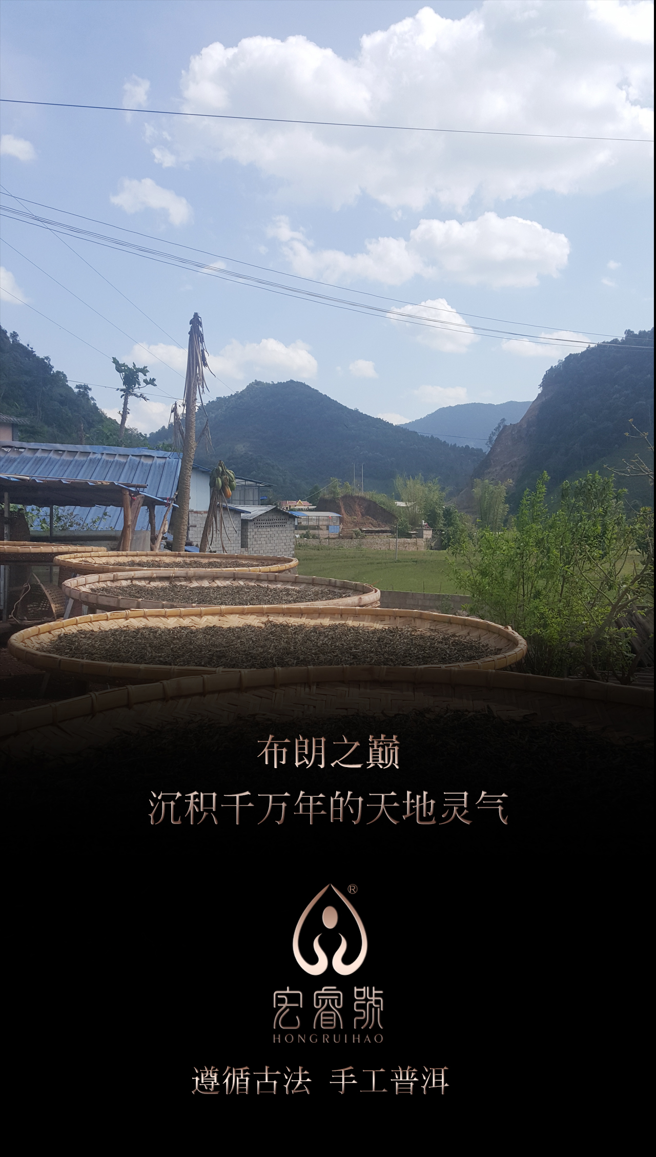 2017年班盆（春）
