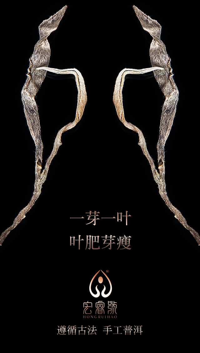2017年雅和（春）