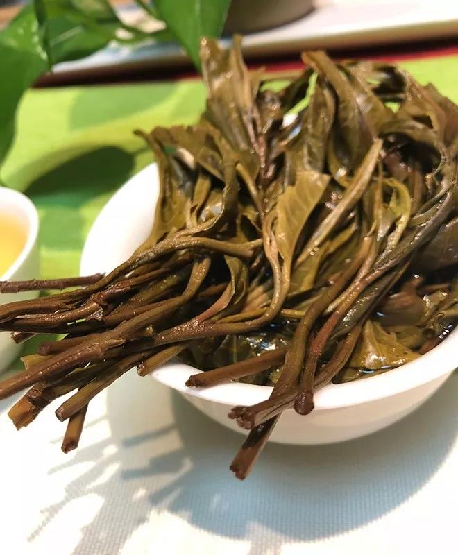 高杆古树--薄荷塘