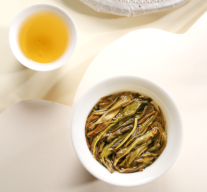2021年薄荷塘高杆古树【春茶】