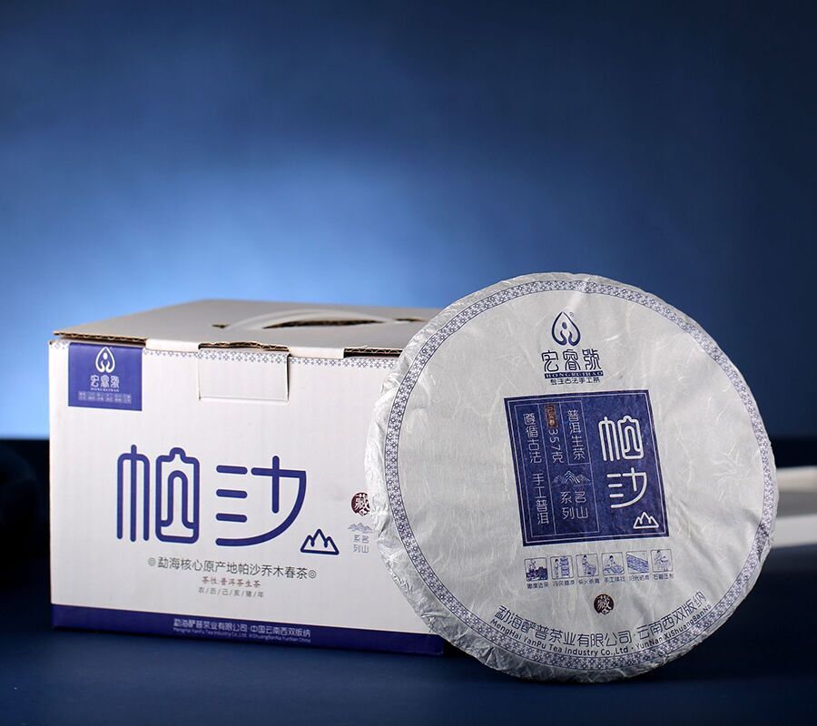 2019年帕沙（春）