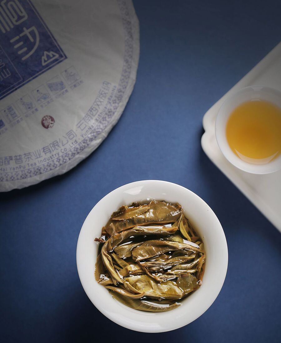 2019年帕沙（春）