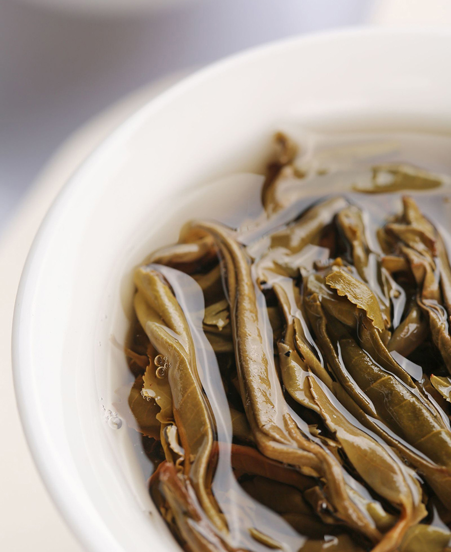 2019年刮风寨（春）