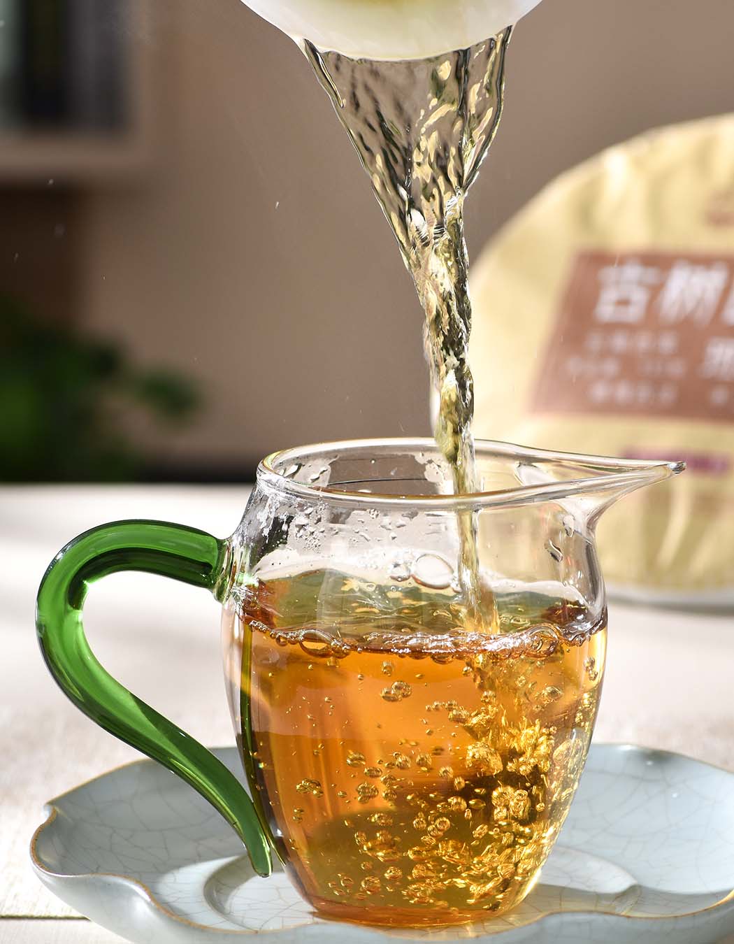 2023年古树白茶【春茶】