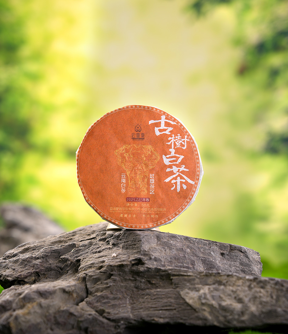 2025年古树白茶【春茶】