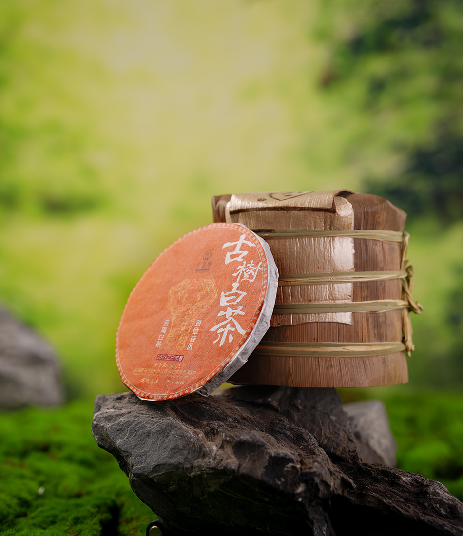 2025年古树白茶【春茶】