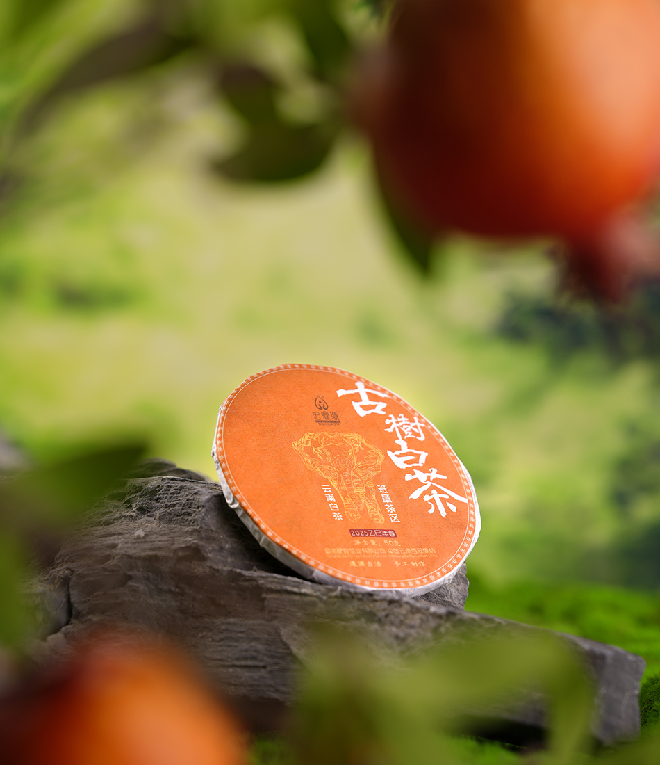 2025年古树白茶【春茶】
